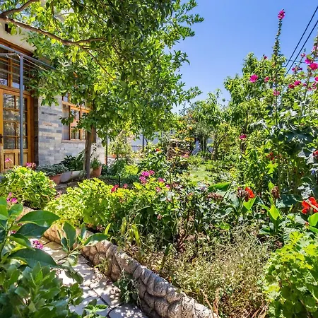 Kalogeraki Studios * Potos